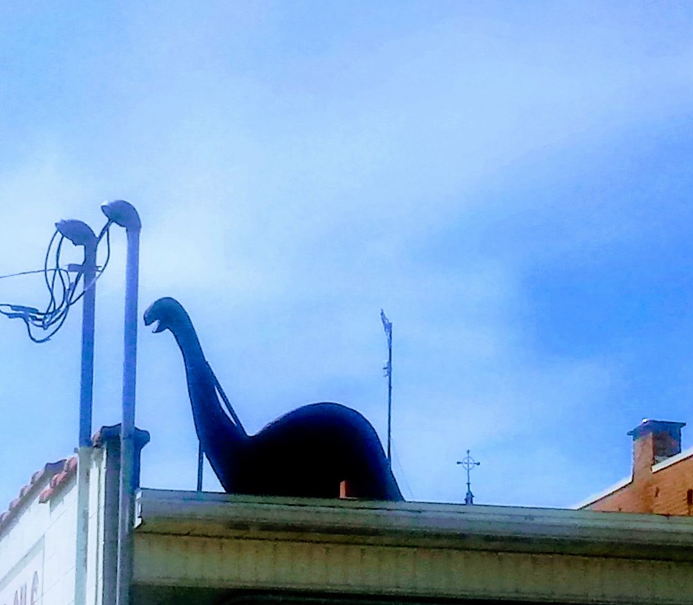 20190425_150319.jpg