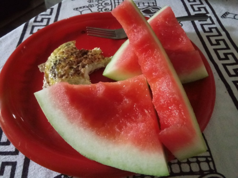 20190426_141421.jpg