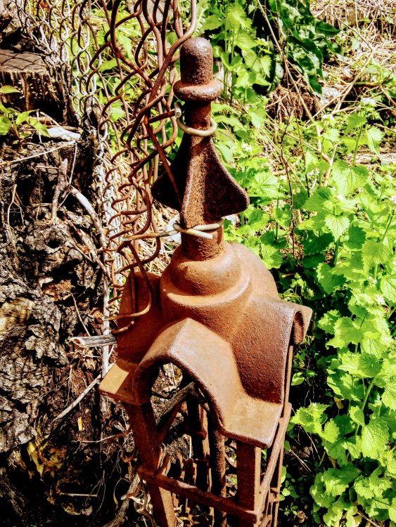 20190429_141440.jpg