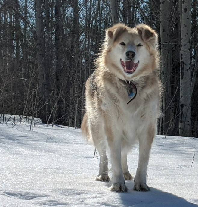 PANO_20190326_111008~3.jpeg