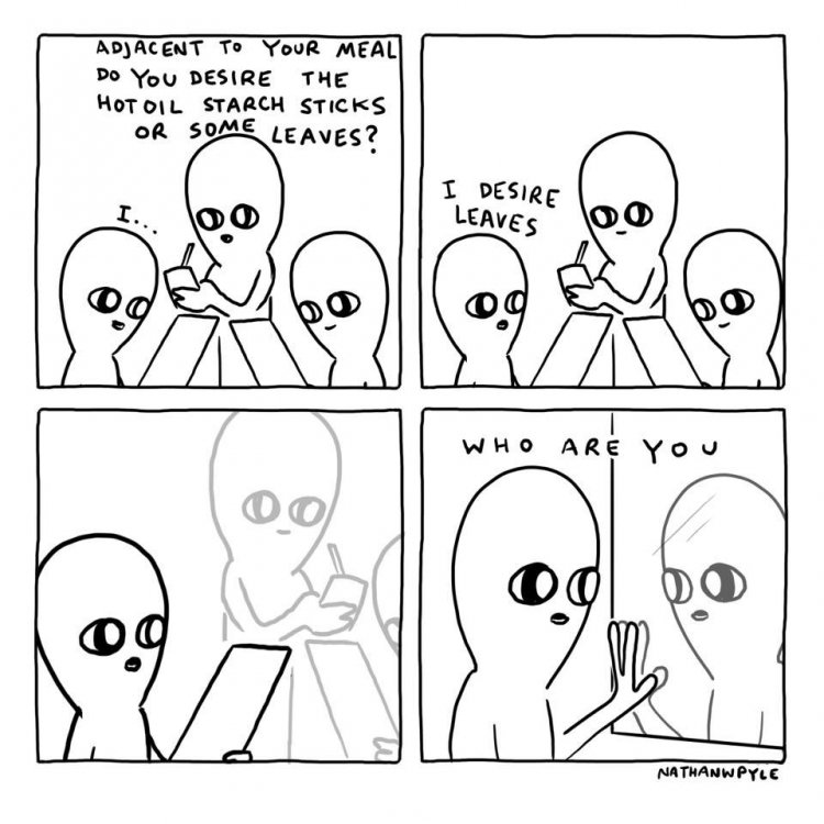 weightloss funny.jpg