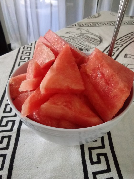 20190422_145142.jpg