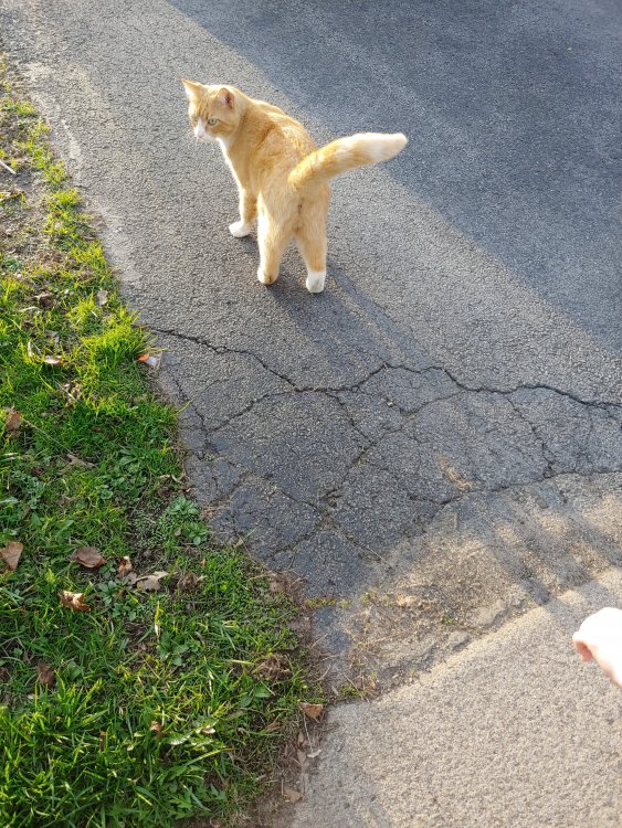 20190422_184617.jpg