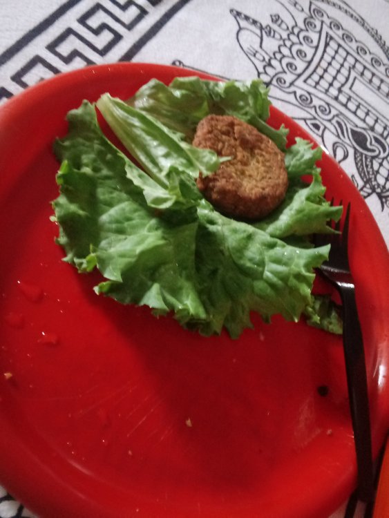 20190504_143821.jpg