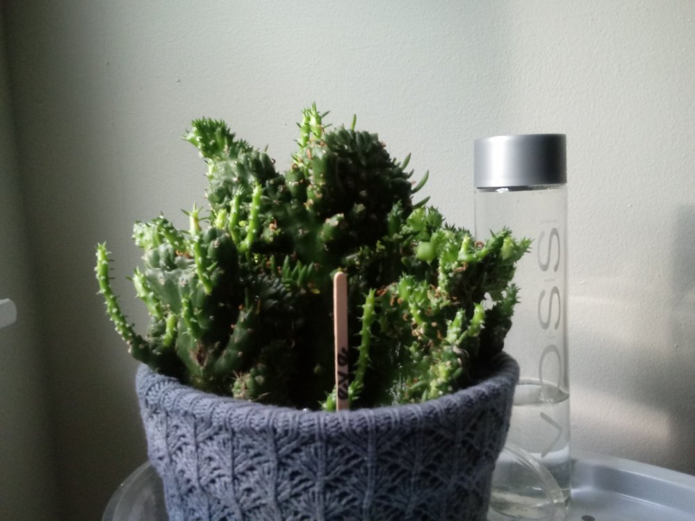 20190506_072432.jpg