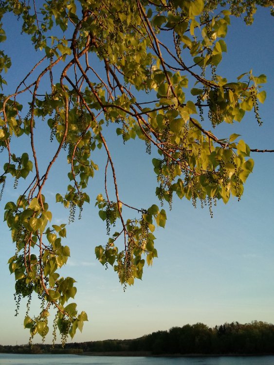 20190508_193845.jpg