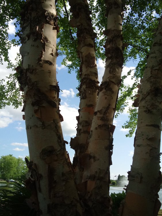20190527_170251.jpg