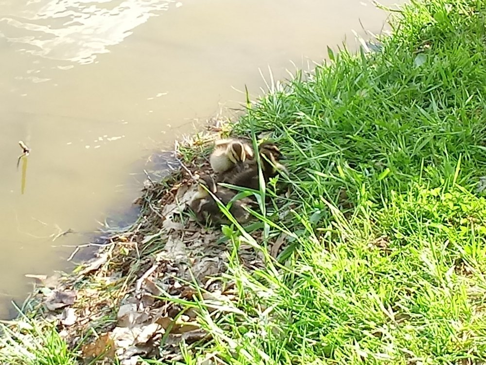 20190527_170741.jpg