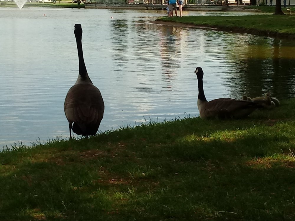20190527_171156.jpg