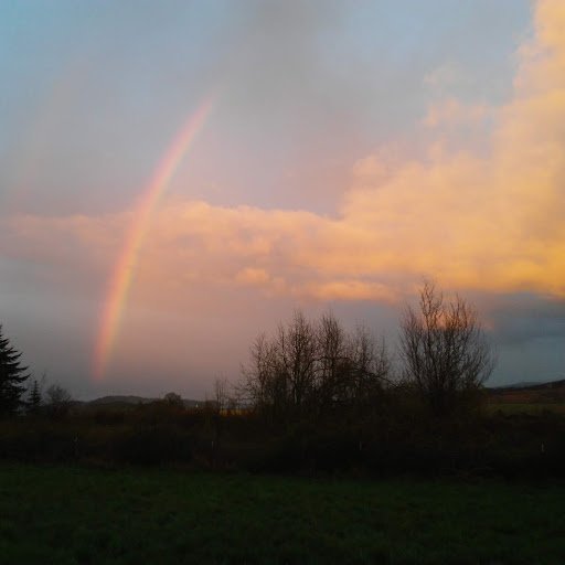 594820858_doublerainbow.jpg.87781661ebd010278057954ae1b5325c.jpg
