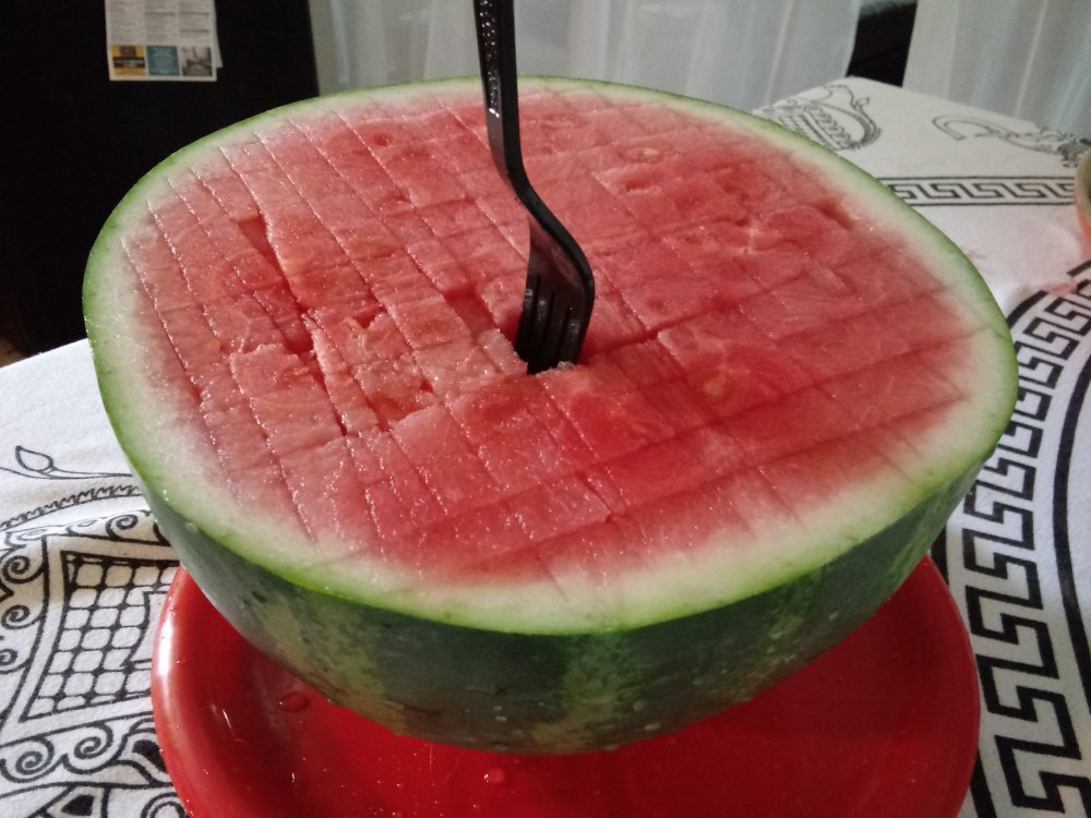 20190606_144136.jpg