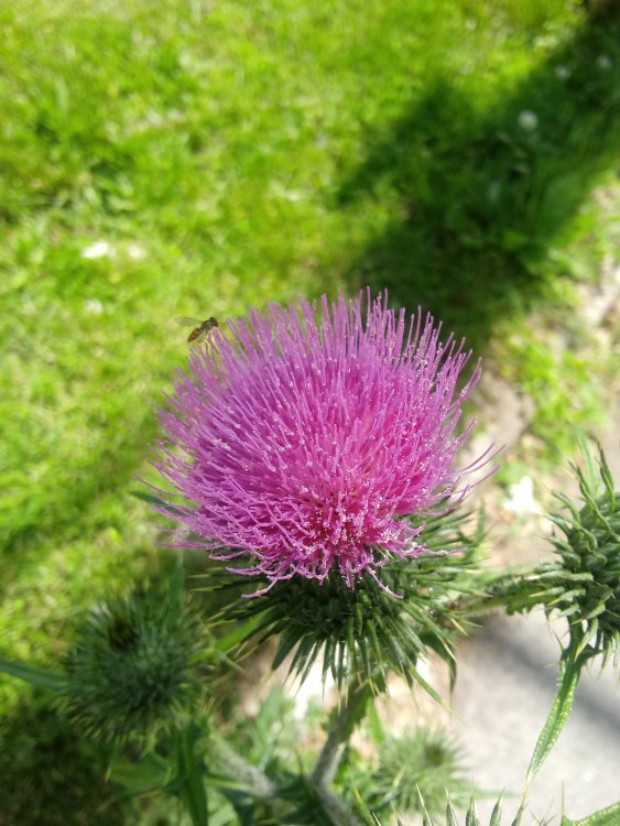 20190612_134035.jpg