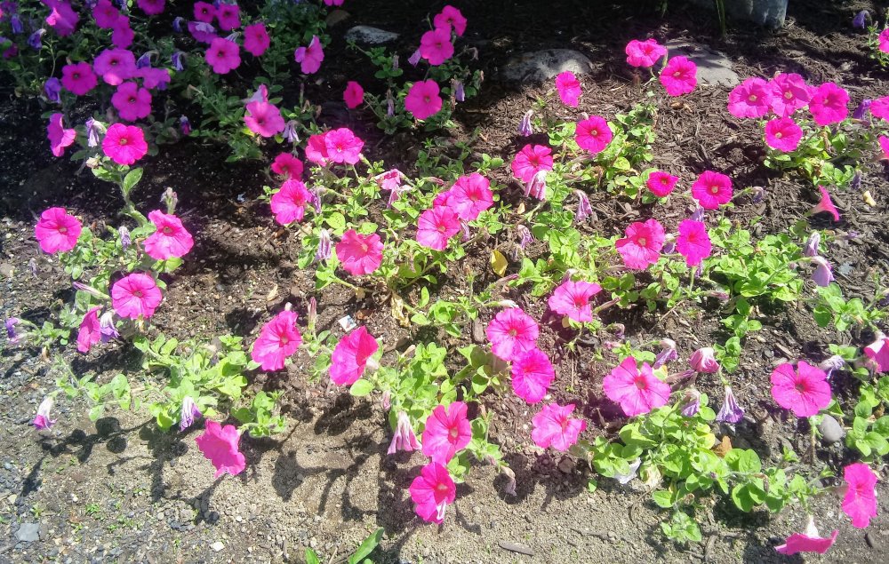 20190612_134741.jpg