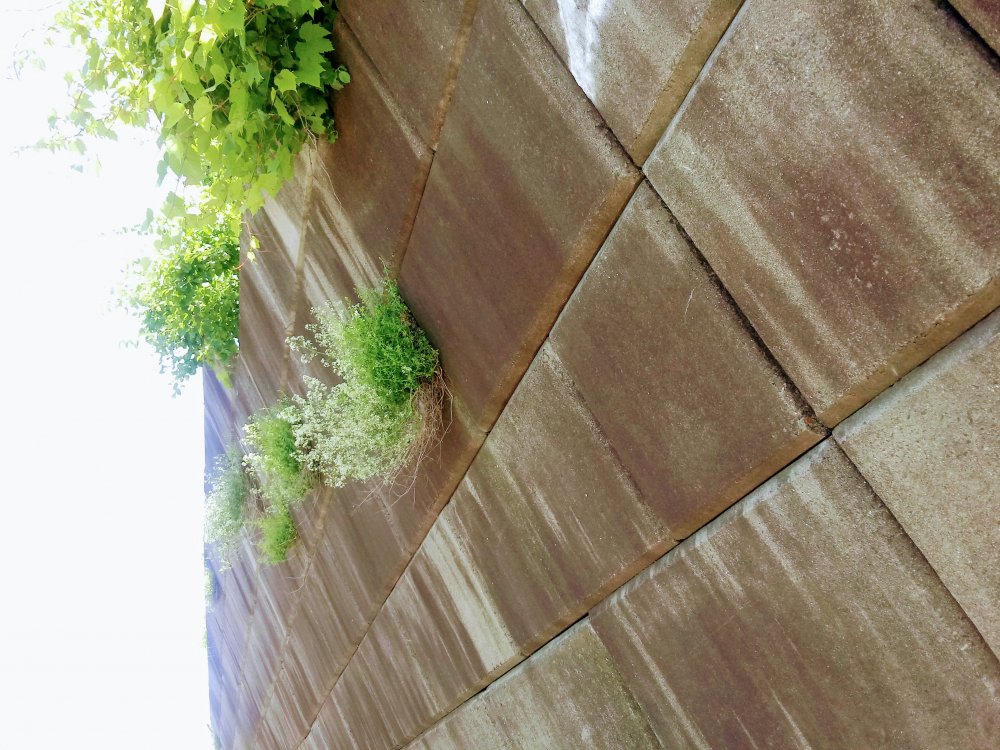20190612_135124.jpg