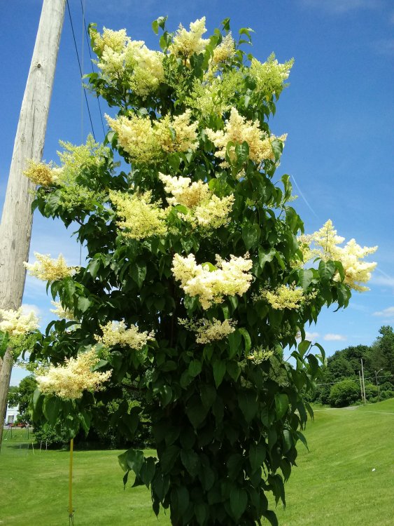 20190617_130219.jpg