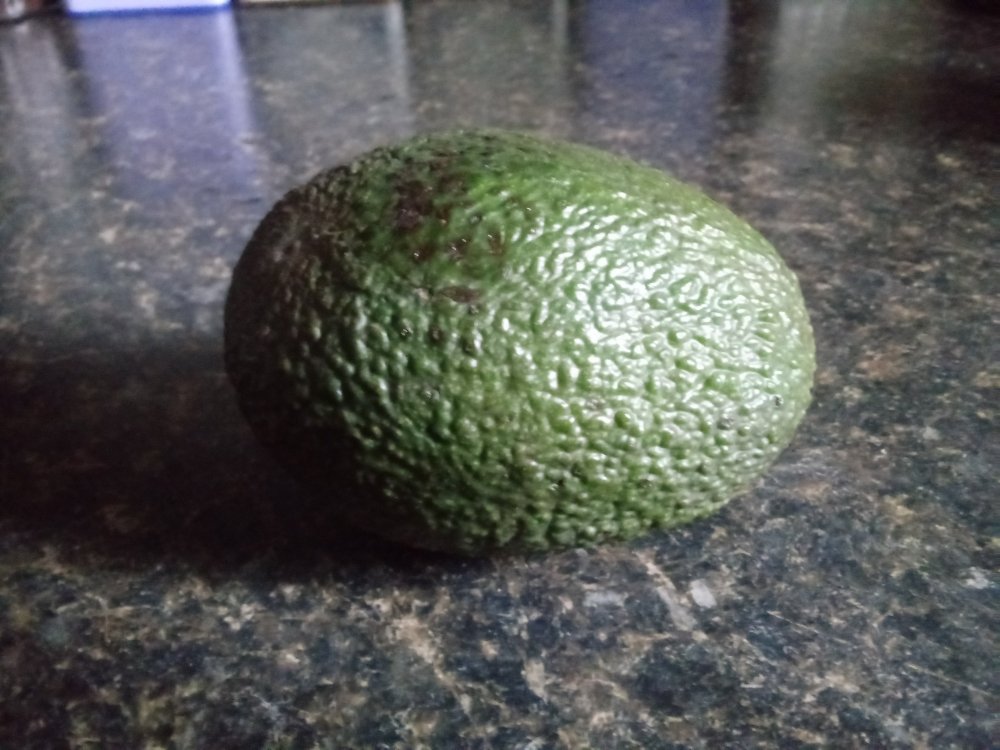20190702_093222.jpg