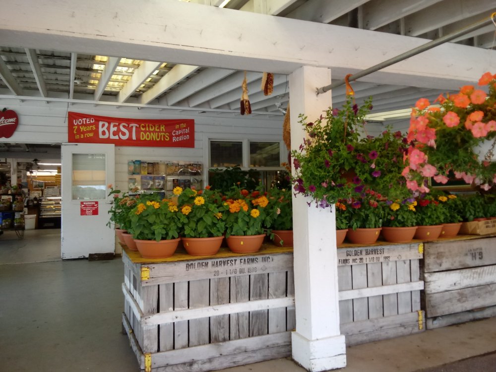 20190713_165948.thumb.jpg.16e84b3d0d2914bf66fdbb39a178319d.jpg