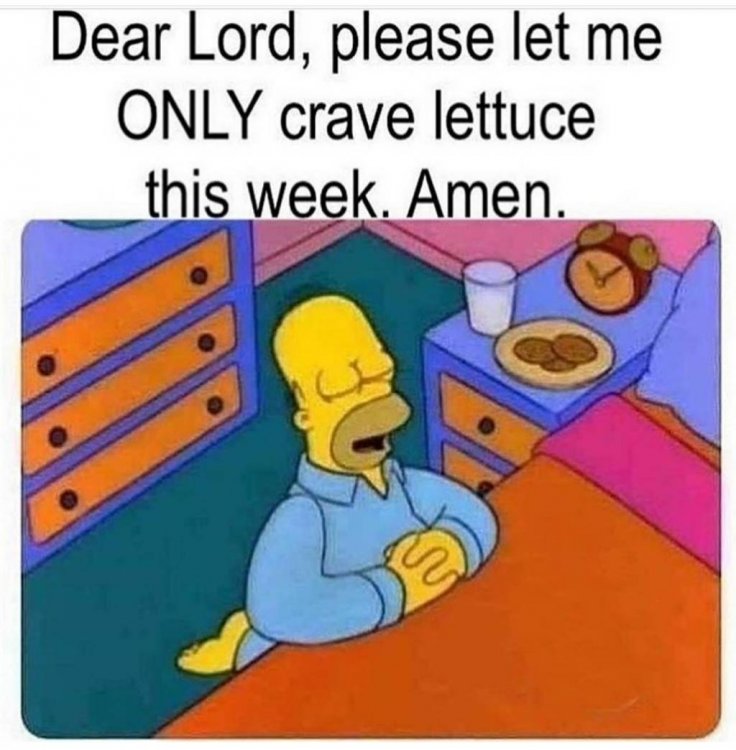 img(15).jpeg