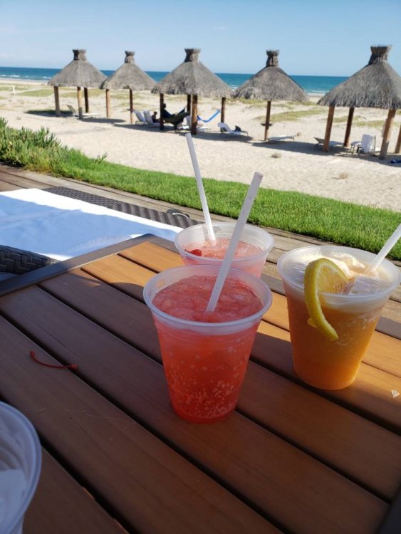 20190725_162813.jpeg