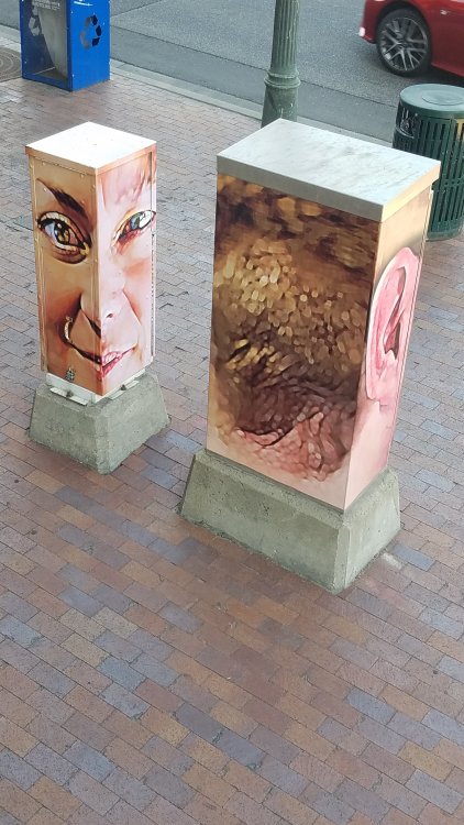 20190803_105656.jpg