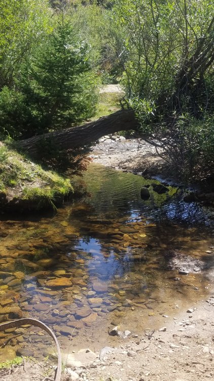20190813_120817.jpg