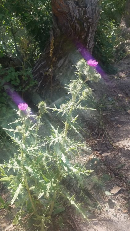 20190813_124618.jpg