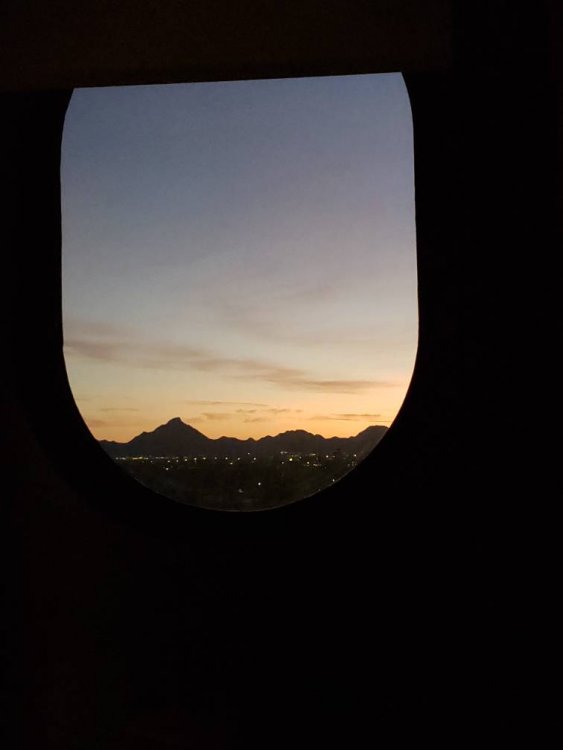20190818_052521.jpeg