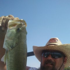 RNY 2ND RODEO