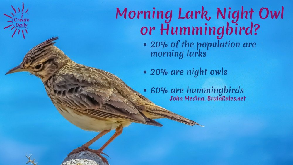 Morning-Lark-stats-Brain-Rules.thumb.jpg.ba2bdef591eddaeaf1412c4f662350ee.jpg