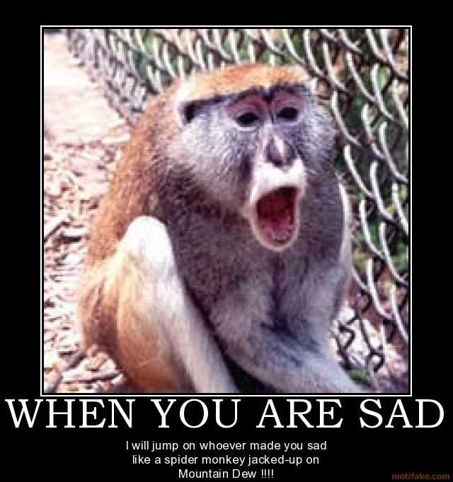 monkeyonmtdew.jpg.74061e2b5b309e6bcbfdc1e9defb2b2c.jpg