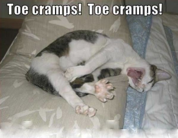 toecramps.JPG.a1b7b1b909423213eafe8852a1d66358.JPG