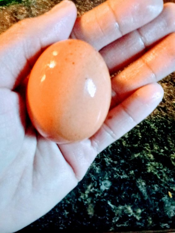 20191002_133947_HDR.jpg