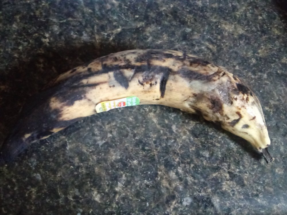 20191126_122458_HDR.jpg