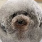 Puffy-no-more
