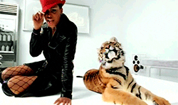 961063990_giphy(12).gif.29937f86c3f18c36be345c2313a97f6f.gif