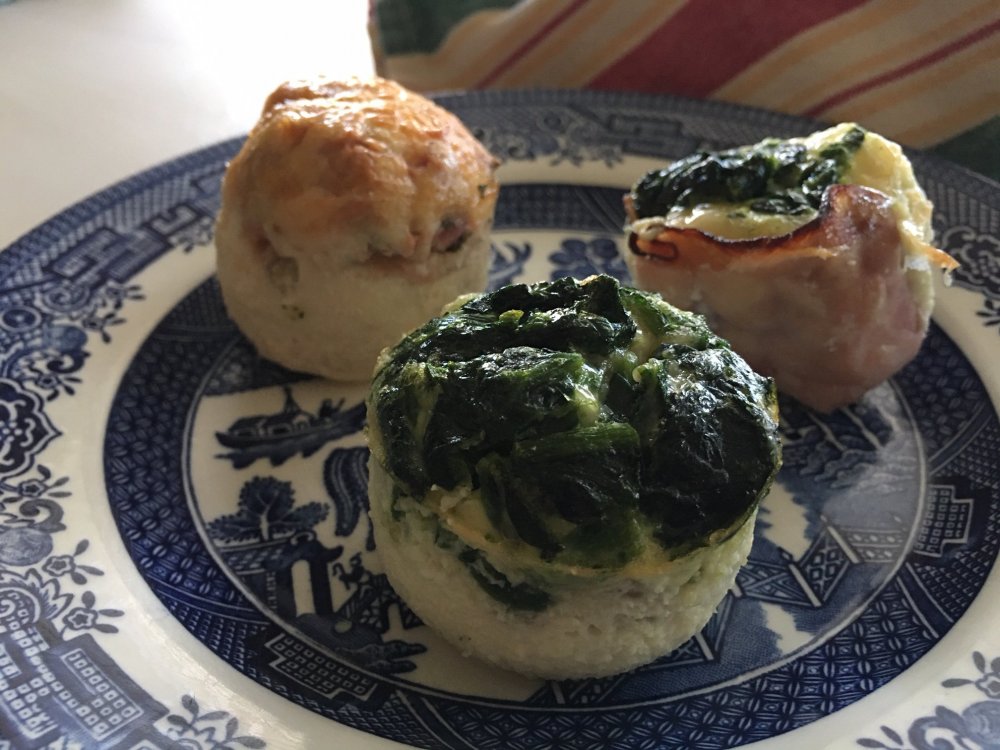 egg-white-bites_5231.thumb.JPG.477613bd10216266f8f5fb06b11325f3.JPG