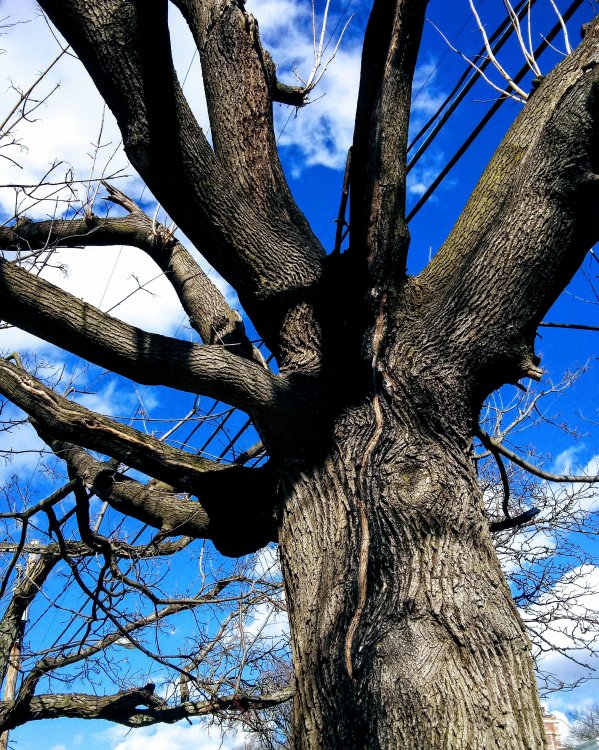 20200304_140944_HDR.thumb.jpg.271acec36a5484686d123c8d89147ab6.jpg