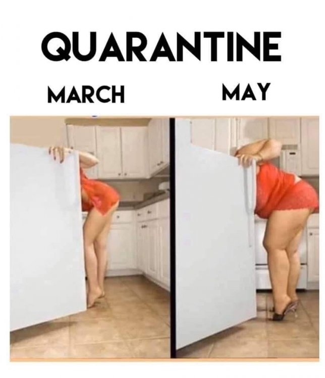 Funny2233.jpg