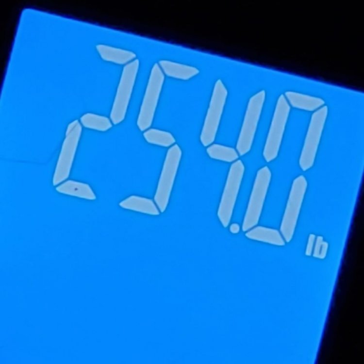 scale as of april sixth.jpg