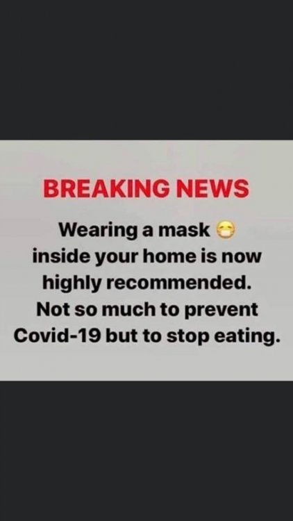 Mask Fat.jpg