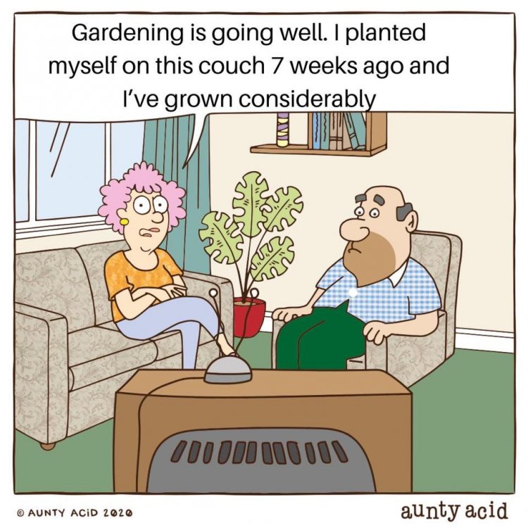 gardening.jpg