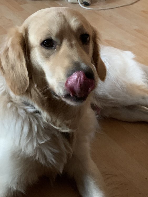 Yum!.jpg