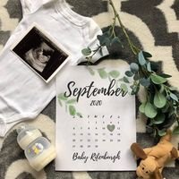 Tammy Rifenburgh Glick