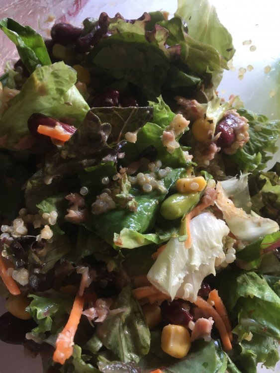 salad.thumb.jpg.5c6c25676fb1bb92e4a27c476259dea2.jpg