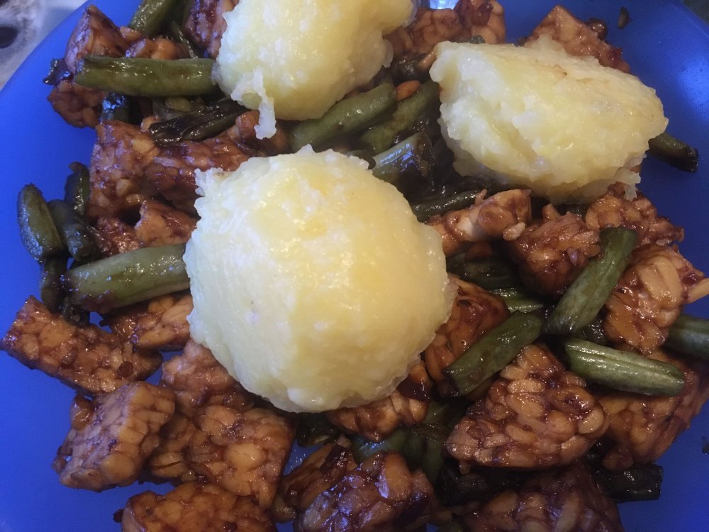 tempeh.thumb.jpg.f7b99c88cf92afa1d89894a4c271df23.jpg
