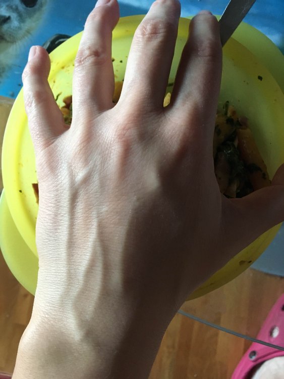 hand.thumb.jpg.5b4b92c52a5ce14a652f6bfb9b4468a0.jpg