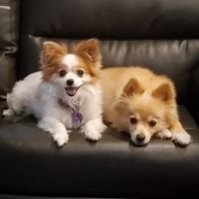 Peanutz53