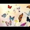 NewYorkButterfly