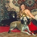 Sharon Walls