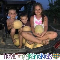 Misty Cook Kindle